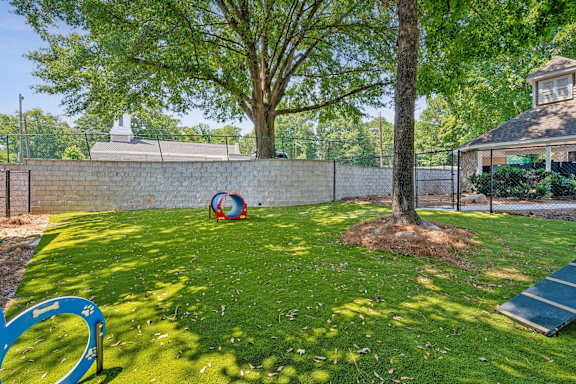 A playground with a slide, ball and a tree.