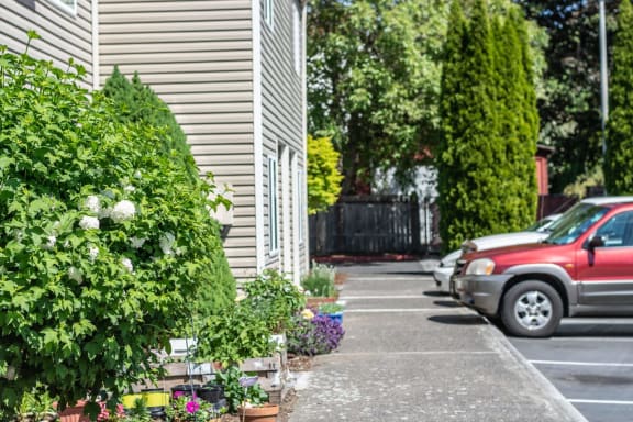 Landscaping and parking