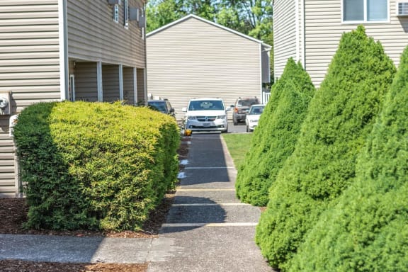 Sidewalk between buildings