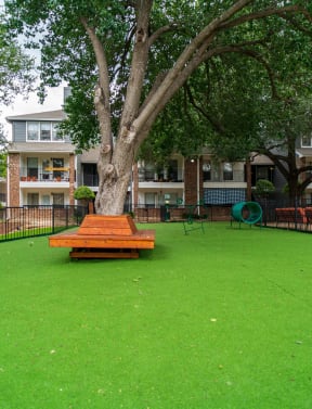 Fenced in dog park with green turf