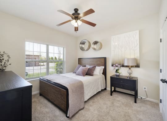 Bedroom with Plush Carpeting