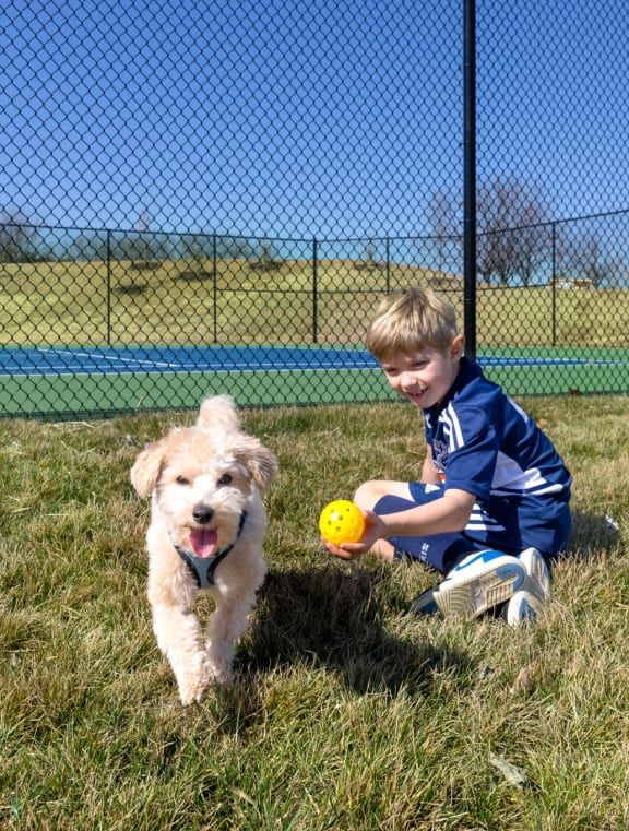 a young boy playing with a dog and a ball
