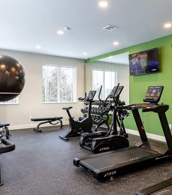 A gym with treadmills, exercise balls, and a bench.