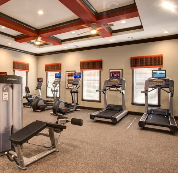 Professional Fitness Center at The Amalfi Clearwater Luxury Apartments in Clearwater, FL