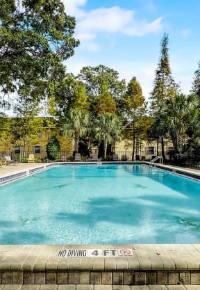 Swimming Pool at Fernwood Grove Apartments, Tampa, FL