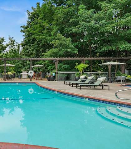 A large outdoor swimming pool surrounded by trees and lounge chairs.