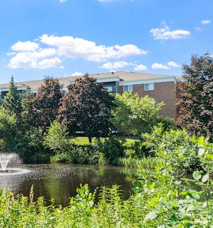 A fountain in the middle of a pond surrounded by greenery.