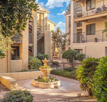 A courtyard with a fountain and plants.
