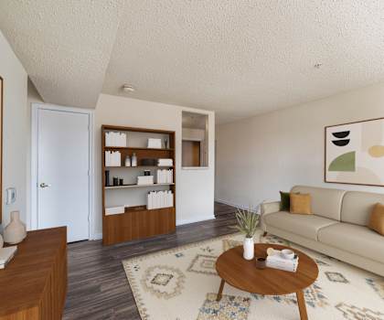 A living room with a couch, coffee table, and a rug.
