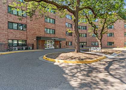our building is located on the corner of a street with a tree