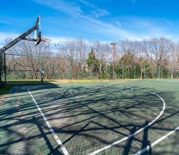 a basketball court in a park on a clear day