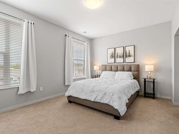 Bedroom with Plush Carpeting