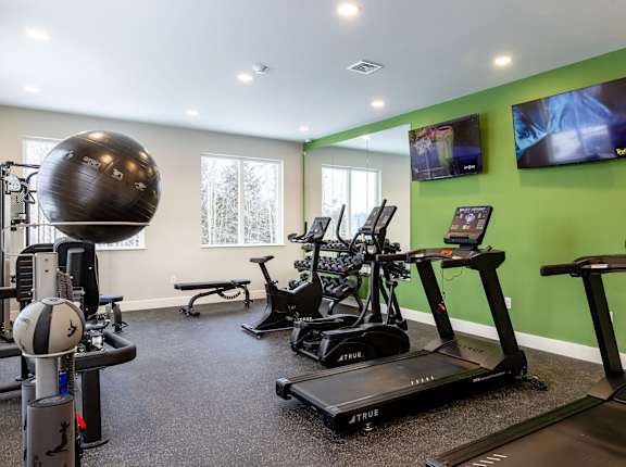A gym with treadmills, exercise balls, and a bench.