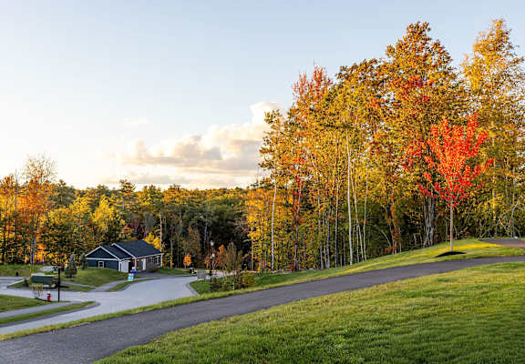 A house is surrounded by trees with autumn leaves.