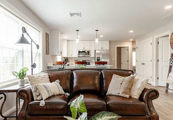 A brown leather couch with a potted plant on it.