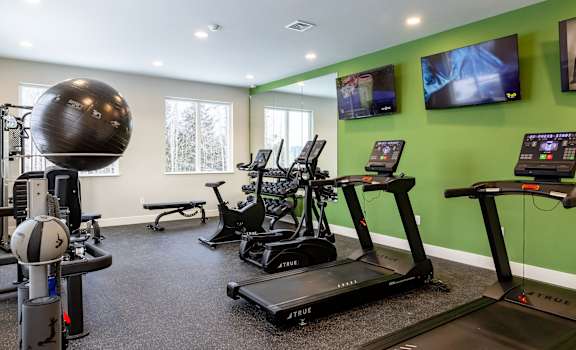A gym with treadmills, exercise balls, and a bench.
