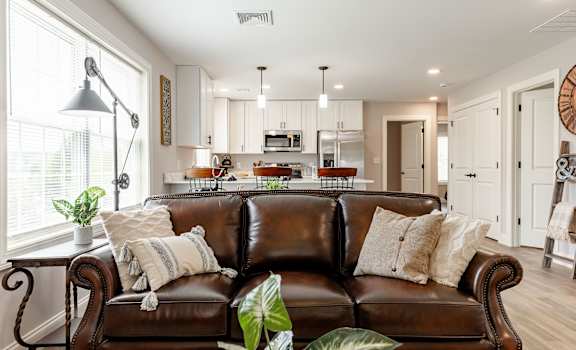 A brown leather couch with a potted plant on it.