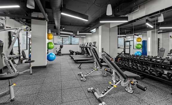 a gym with weights and dumbbells and other exercise equipment