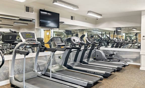 Atrium Lofts at Cold Storage Apartments in Richmond VA