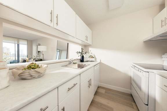 an apartment kitchen with white cabinets and a sink and a dishwasher