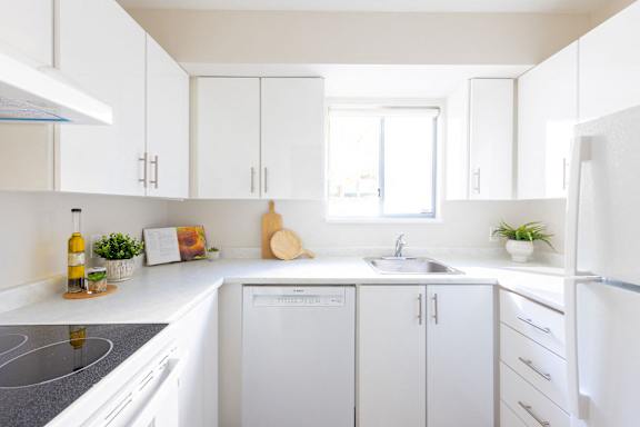 a white kitchen with white cabinets and a sink