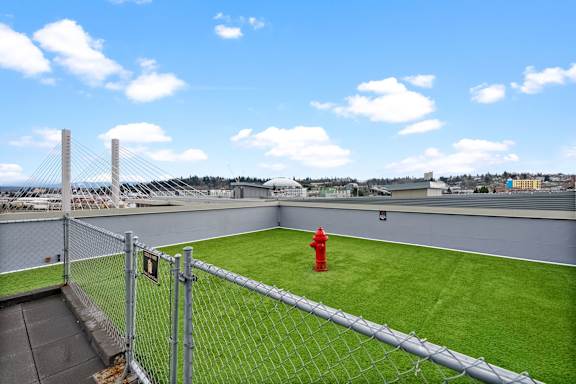 A soccer field with a red fire hydrant on the grass.