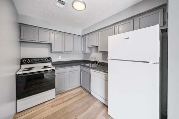 Newly Renovated Kitchen