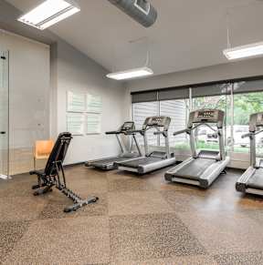 A gym with treadmills, a stationary bike, and a rowing machine.