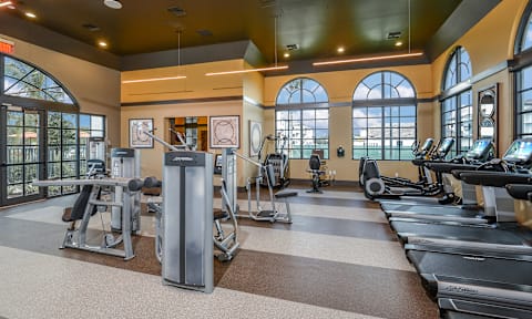 Apartments with a Gym  at Palm Ranch Luxury Apartments in Davie, FL