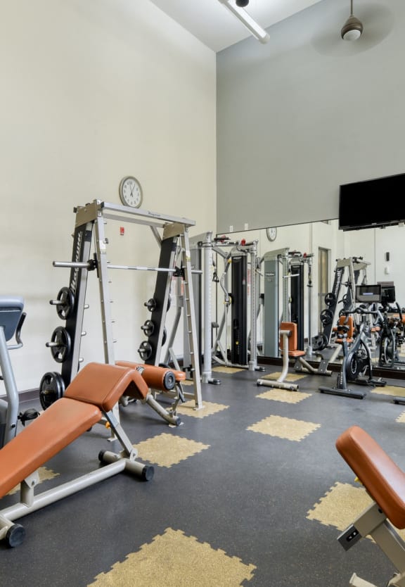 a gym with weights and cardio equipment and a tv