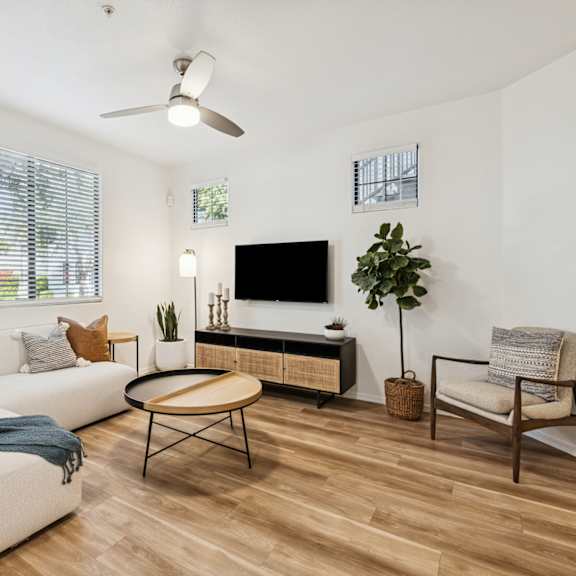 A living room with a TV, a dining table with chairs, and a rug.