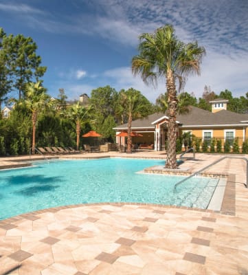 Resort-Style Pool at The Amalfi Clearwater Luxury Apartments in Clearwater, FL