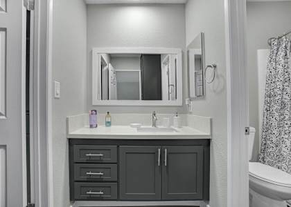 a bathroom with a sink and a mirror