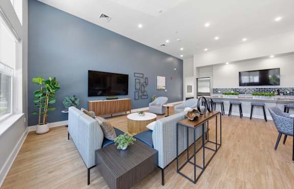 A modern living room with a grey sofa, a coffee table, and a television.