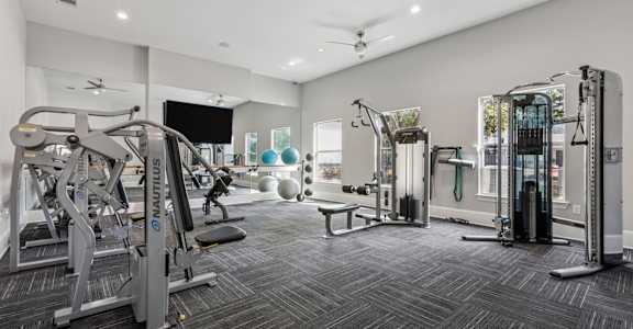 A spacious gym with a variety of equipment including treadmills, weight machines, and a bench.