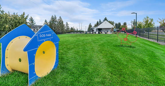 A dog park with a blue and yellow slide and a red climbing structure.