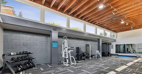 A spacious gym with a variety of equipment and a treadmill.