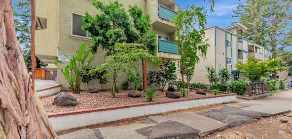 A tree trunk is in the foreground of a photo showing apartment buildings.