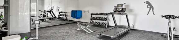 the gym at the flats at big tex apartments