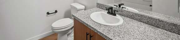 a bathroom with a sink and a toilet and a mirror