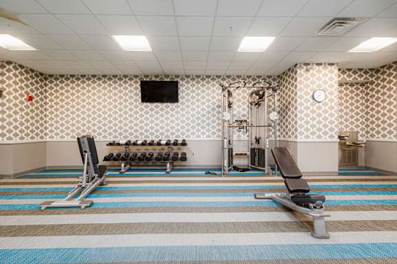 A gym with a row of dumbbells and a bench press.
