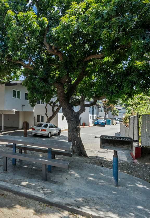 Picnic table area at Carrillo