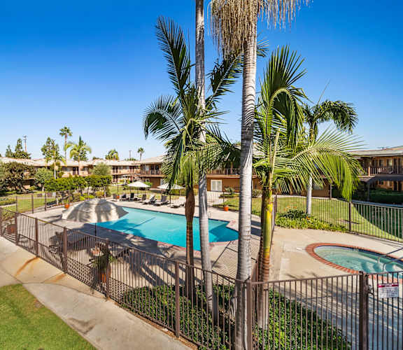 A pool surrounded by a fence with palm trees in the background.