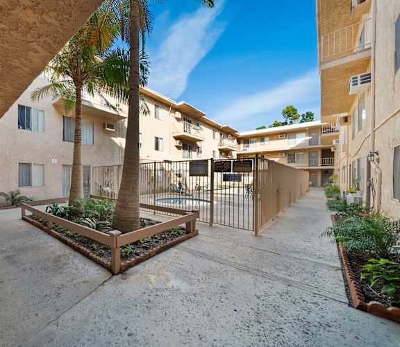 A courtyard with a palm tree and a fence.