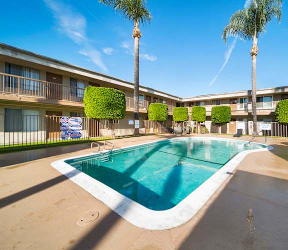 A swimming pool in a sunny day surrounded by palm trees and bushes.