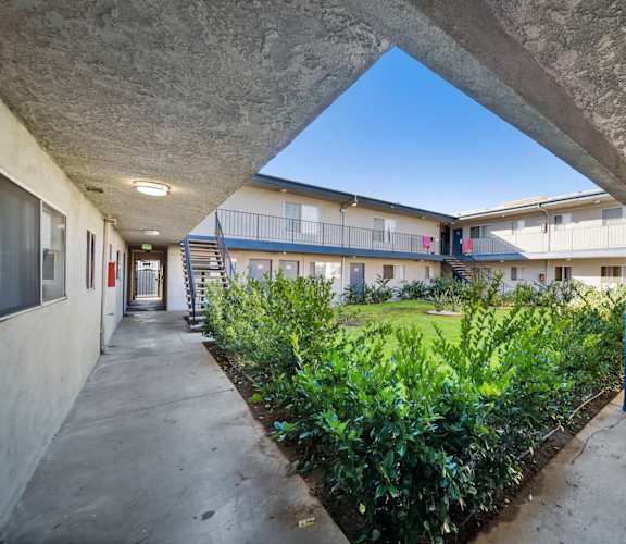 A courtyard with a green lawn and plants.