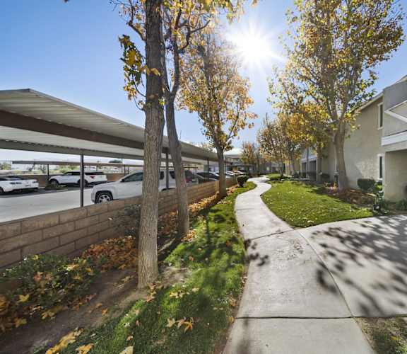 A sunny day in a residential area with a sidewalk and trees.