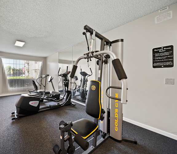 A gym with a rowing machine, a stationary bike, and a weight machine.