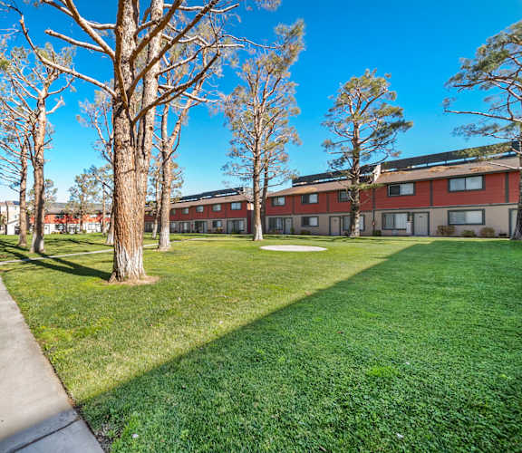 A sunny day at a grassy courtyard with trees and apartment buildings.