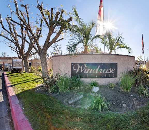 A sign that says Windrose is in front of a tree.